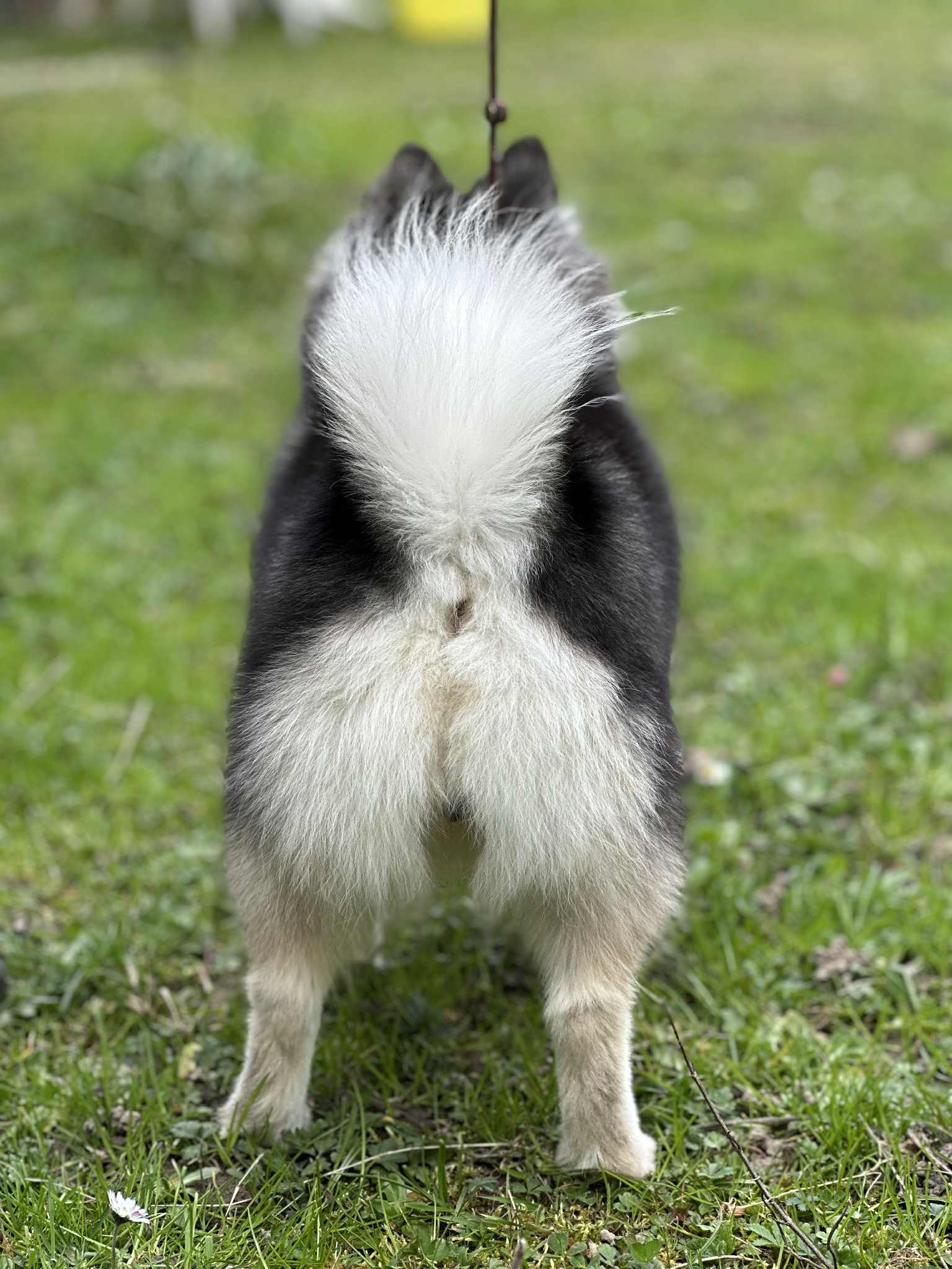 4f5e6c3e-3697-41c9-b5e0-077dbec0542e