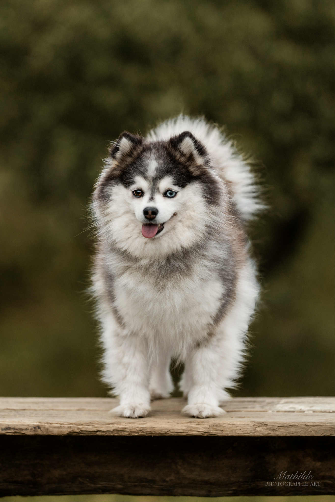 94516c1a-881e-449d-b014-de3c1bfa213e