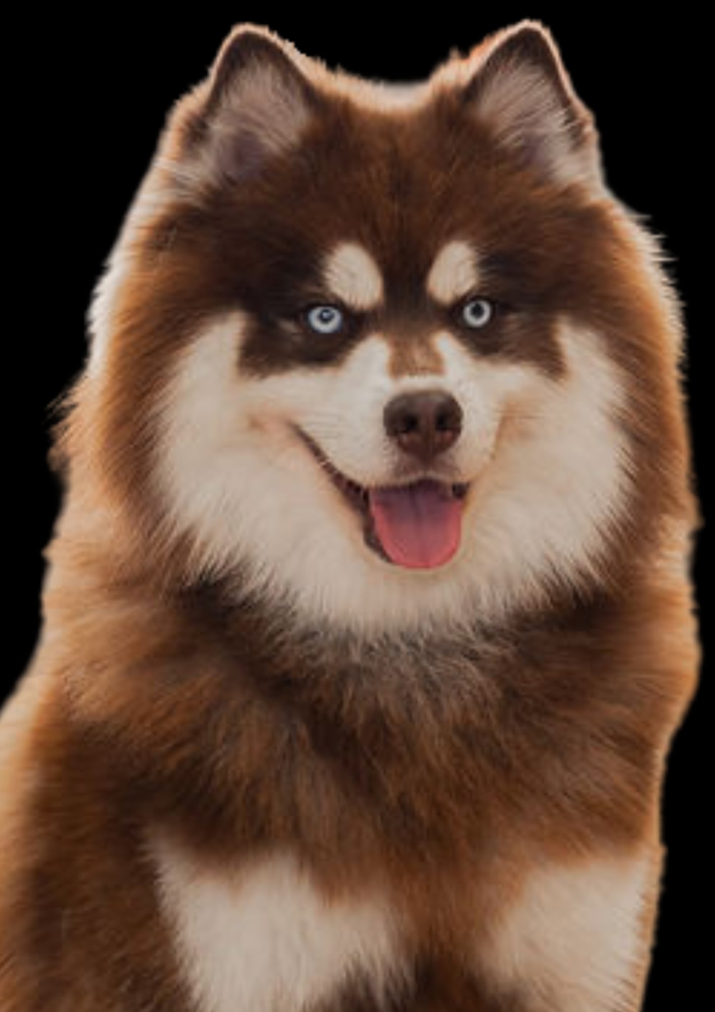 a5aa49ae-7baf-47e3-90c1-a355b13e36b3