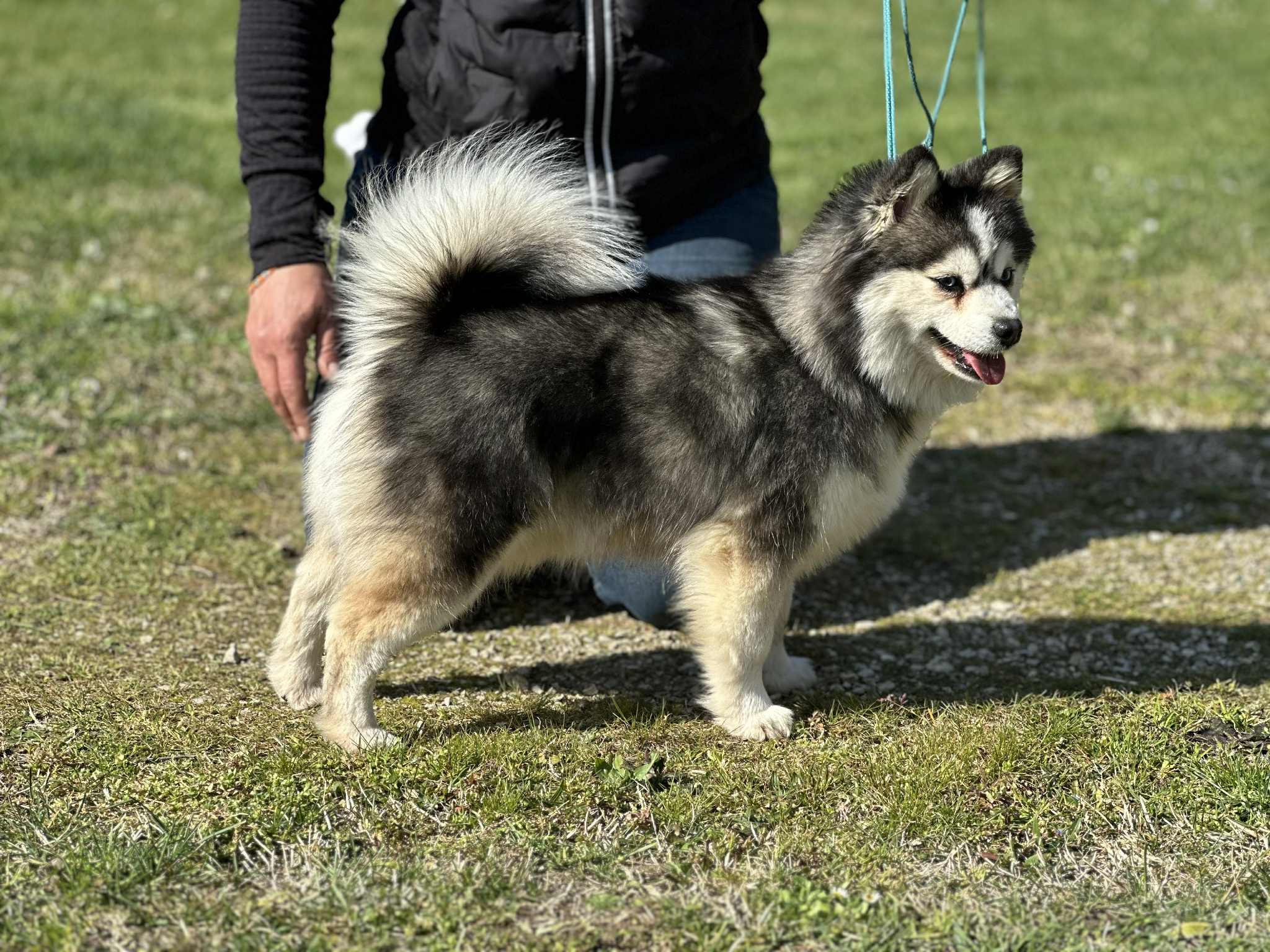 ca0bde0e-16c4-4867-bd5c-6a81ee75eefc