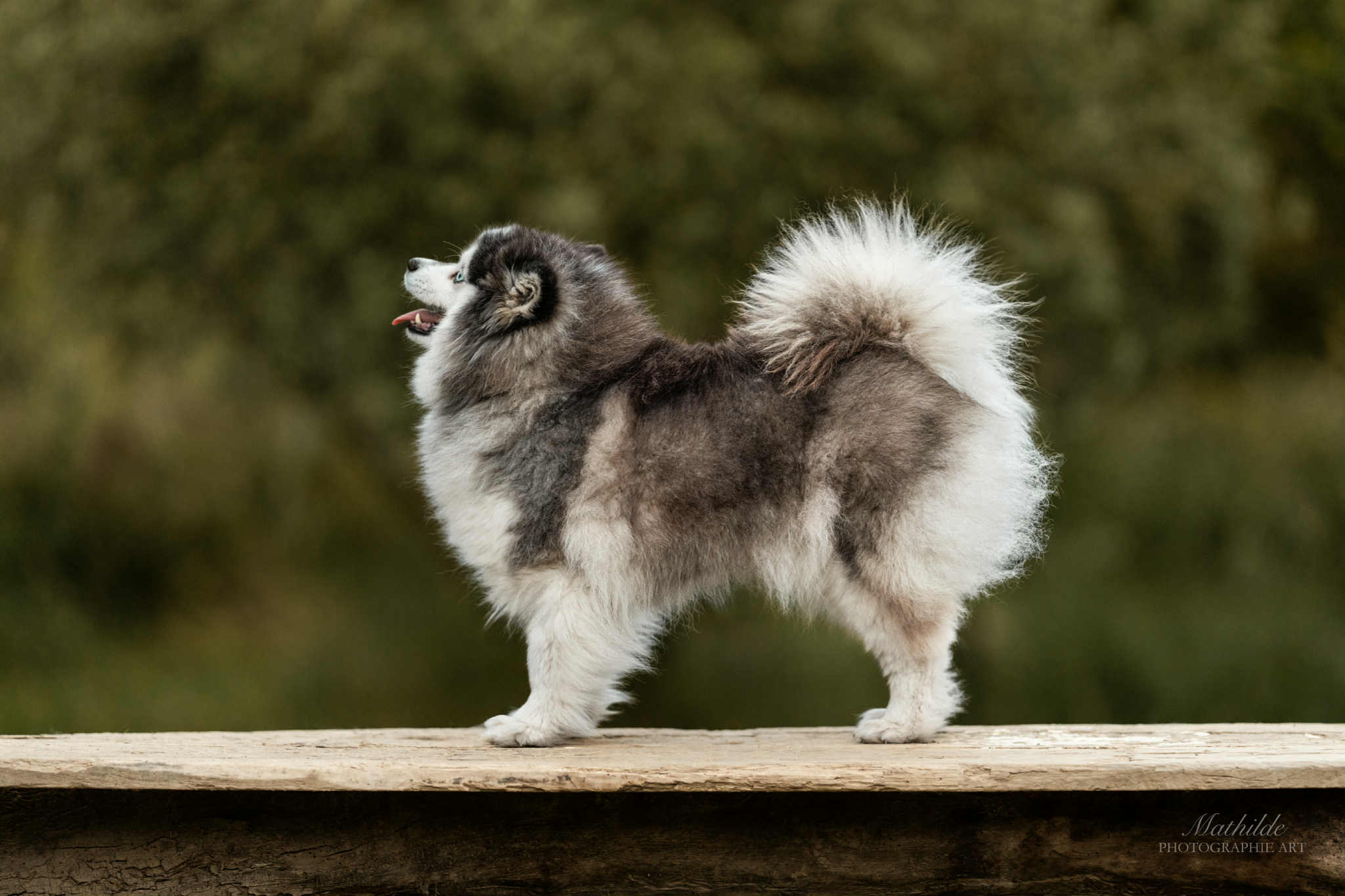 d9521b81-2d71-4370-9369-1cda6c788ddf