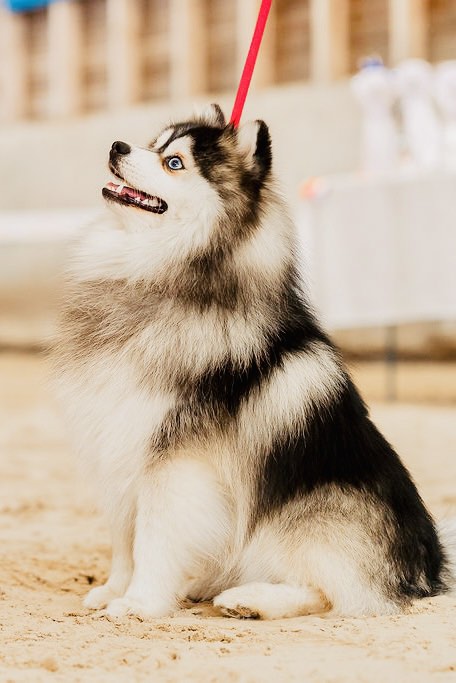 Kawaï