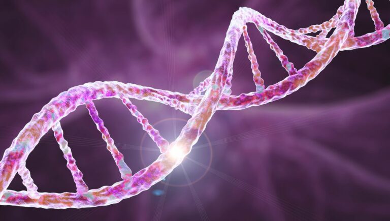 Quel taux de consanguinité privilégier ?